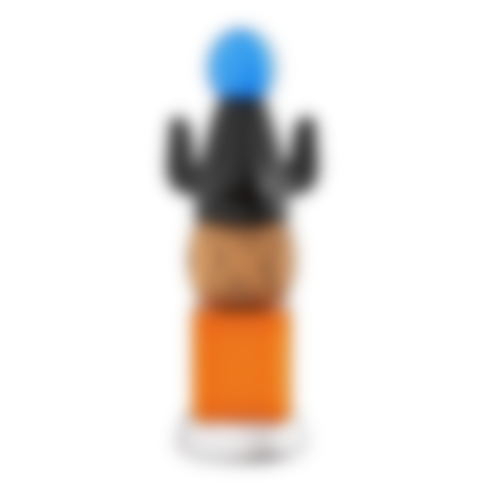TOTEM (inventing)